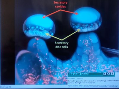 P50610-220917(1) (1).jpg