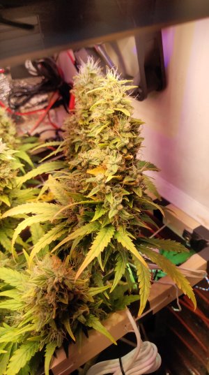 P50610-193036 (1).jpg