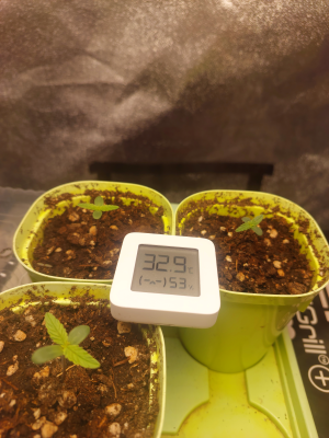 20250610_103942 1.png