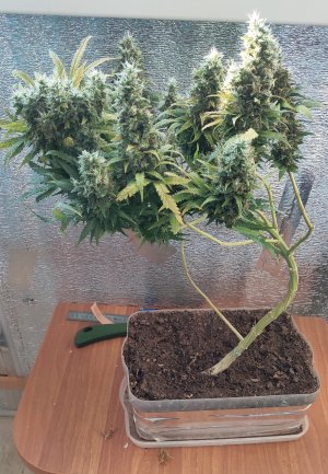 P50618-191337(1) (1).jpg