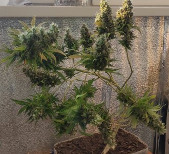 P50618-191630(1) (1).jpg