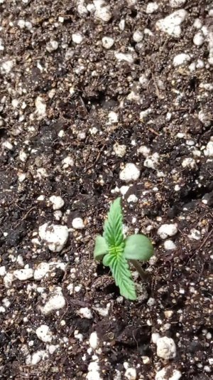 Без имени 4.jpg