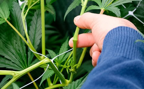 superkropping__BpPuFfzLPJI1tW1x.jpg superkropping__BpPuFfzLPJI1tW1x.jpg