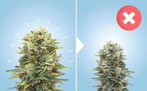 otricatelnye-stressy__uUvbSRliqnRuL1q4.jpg otricatelnye-stressy__uUvbSRliqnRuL1q4.jpg