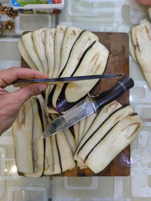 IMG_20250714_173730420.jpg IMG_20250714_173730420.jpg