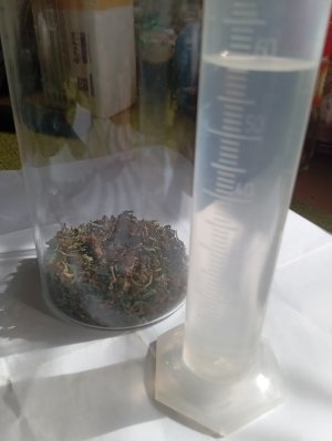 IMG_20250419_140015.jpg IMG_20250419_140015.jpg