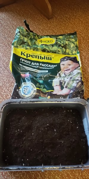 P50625-195420 (1).jpg