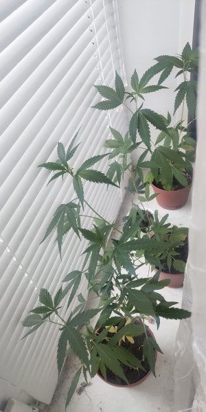 P50721-130953 (1).jpg