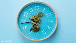 mozhet-li-kannabis-so-vremenem-isportitsya__eEHAdxBfPXQJrU7b.jpg mozhet-li-kannabis-so-vremenem-isportitsya__eEHAdxBfPXQJrU7b.jpg