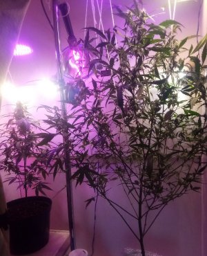 PSX_20220426_135917.jpg PSX_20220426_135917.jpg