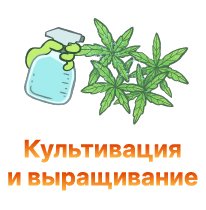 kultivaciya i vyrashchivanie-100.jpg kultivaciya i vyrashchivanie-100.jpg