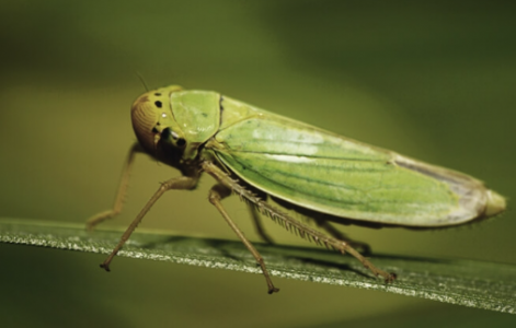 1651265134518.png 1651265134518.png