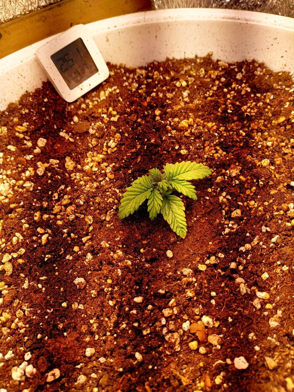 photo_2022-05-06_23-35-21 (2).jpg