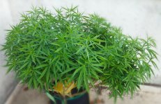 11111111.jpg 11111111.jpg