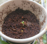 1755778879576.png 1755778879576.png