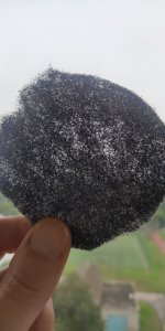 P50823-141852 (1).jpg P50823-141852 (1).jpg