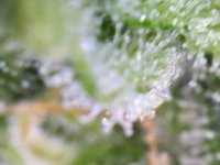 Photo_2025-09-02 17_40_56_564.JPG