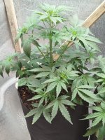 Изображение WhatsApp 2025-09-06 в 12.39.12_340ae978.jpg