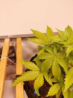 20250916_081751.jpg 20250916_081751.jpg