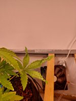 20250916_081801.jpg 20250916_081801.jpg