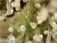 .trashed-1761189815-Photo_2025-09-20 17_23_06_969.png