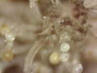 .trashed-1761189879-Photo_2025-09-20 17_20_05_219.png