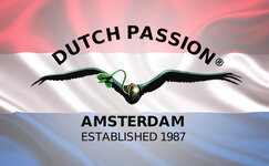 dutch-passion__S31zN98F6ym7q7ST.jpg dutch-passion__S31zN98F6ym7q7ST.jpg