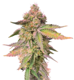 1759492293386.png 1759492293386.png