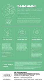 зеленый цвет.jpeg