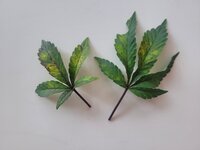 20251009_090243.jpg 20251009_090243.jpg