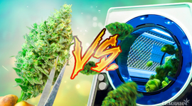 1760613805365.png 1760613805365.png