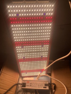 F2C11D3A-BFB5-4026-83EF-4EF0B2F3A7F9.jpeg F2C11D3A-BFB5-4026-83EF-4EF0B2F3A7F9.jpeg