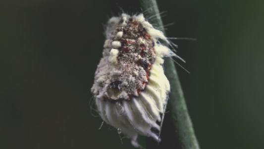 1652445472979.png 1652445472979.png