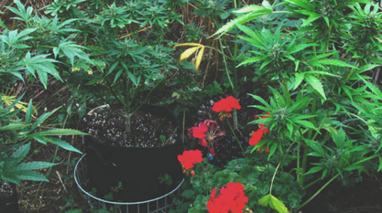 1652445570299.png 1652445570299.png