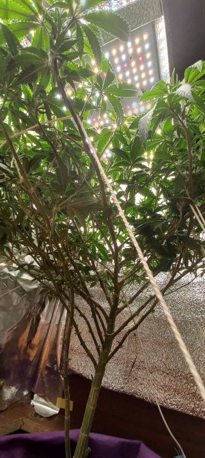 20220517_065626.jpg 20220517_065626.jpg