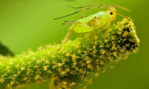 1652870039177.png 1652870039177.png