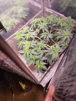 IMG_1227.jpeg IMG_1227.jpeg