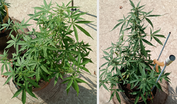 1111111111111.png 1111111111111.png