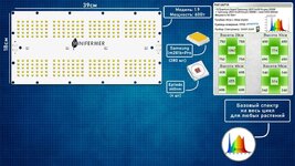 1000021995.jpg 1000021995.jpg