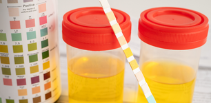 1764665839122.png 1764665839122.png