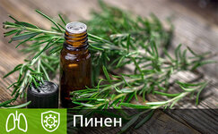 pinen__tehWWGi5DrvTDxcE.jpg pinen__tehWWGi5DrvTDxcE.jpg