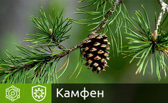 kamfen__SHFXonf3BLdB9QXs.jpg kamfen__SHFXonf3BLdB9QXs.jpg