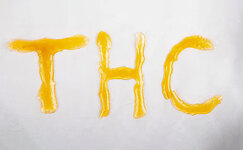 nalichie-kannabinoidov__dKtRYB4hFeGsvkJC.jpg nalichie-kannabinoidov__dKtRYB4hFeGsvkJC.jpg