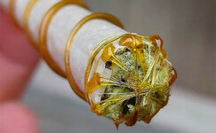 samokrutki__awjygxBmknlKR1Ks.jpg samokrutki__awjygxBmknlKR1Ks.jpg