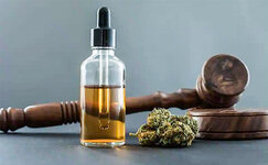 Pravovoj-status-KBD-v-Rossii__N7Txvchq3SNkKMpe.jpg Pravovoj-status-KBD-v-Rossii__N7Txvchq3SNkKMpe.jpg