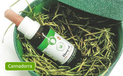 Cannadorra__xmDn31PxtZsBUhaa.jpg Cannadorra__xmDn31PxtZsBUhaa.jpg