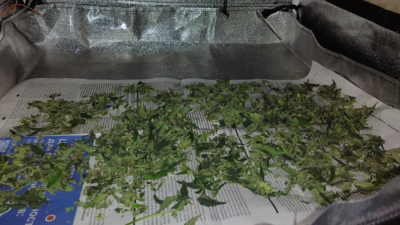 photo_2022-05-23_18-26-26 (2).jpg