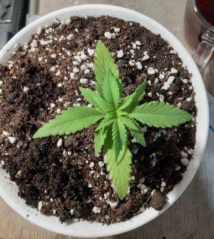 20220524_122944.jpg 20220524_122944.jpg