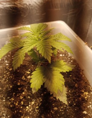 Скриншот 26-05-2022 123936.jpg