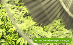 ustanovka-filtra-na-vduv__GWn2q5Z7EwowgXjI.jpg ustanovka-filtra-na-vduv__GWn2q5Z7EwowgXjI.jpg